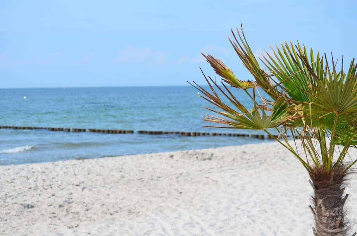 Sommerurlaub mit Kindern - Strandspaziergang Markgrafenheide